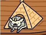 sufinsan.JPG